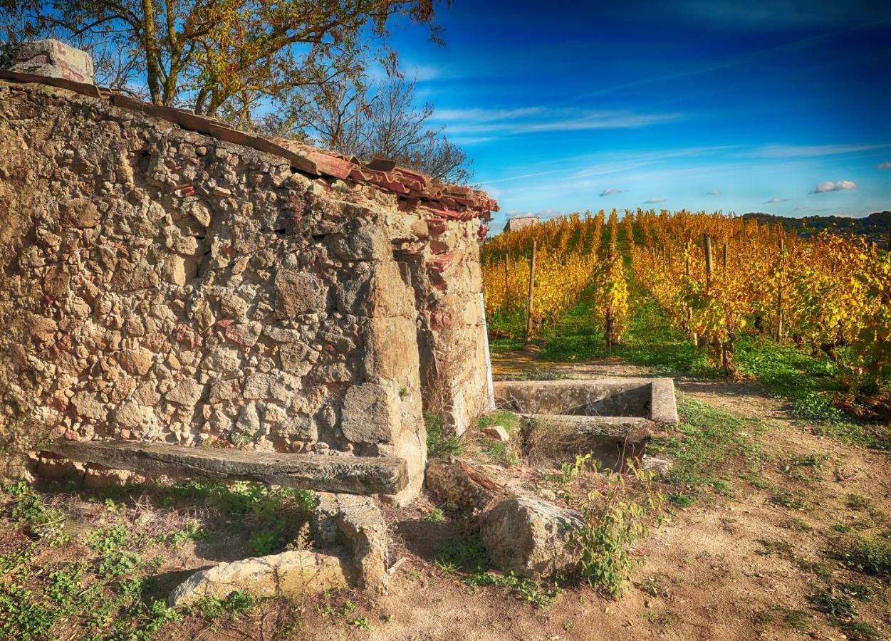 Condrieu Comme A La Maison Exterior foto